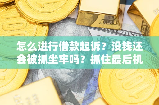 济南怎么进行借款起诉？没钱还会被抓坐牢吗？抓住最后机会！