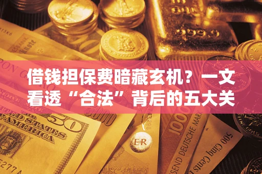 济南借钱担保费暗藏玄机？一文看透“合法”背后的五大关键陷阱