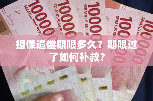 济南担保追偿期限多久？期限过了如何补救？