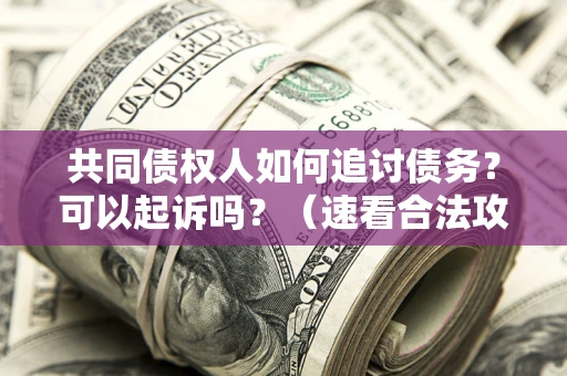 济南共同债权人如何追讨债务？可以起诉吗？（速看合法攻略）